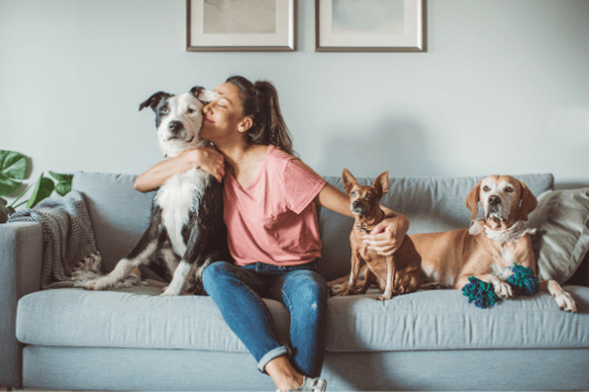 1pet month
