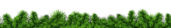 holiday message border2